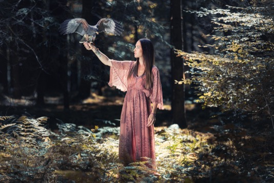Owl Image